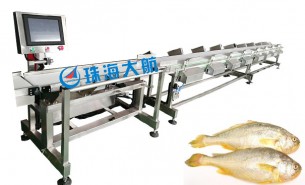 海产业腾飞，始于黄鱼分选