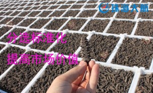 大家都用重量分拣机分选海参了！您还在用人工分选吗？