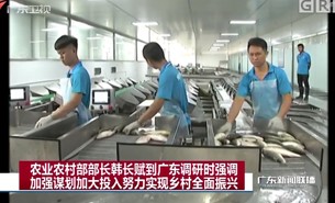 农业农村部部长韩长赋到何氏水产亲睹珠海大航活鱼分选机的风采