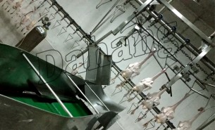 白条鸭重量分选机领域加工行业的技术革新