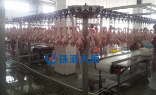 创新：禽肉重量分拣机助力行业转型升级