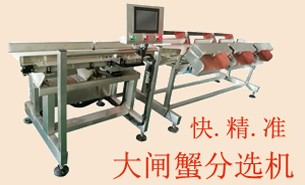 大闸蟹海参鲍鱼自动分选-自动上料排序重量称重选别设备