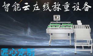 五金件自动称重秤哪家好？