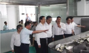 鱼分拣机,水产品自动分拣机厂家,实力品牌珠海大航