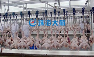 重量分拣设备如何实现整鸡分选？