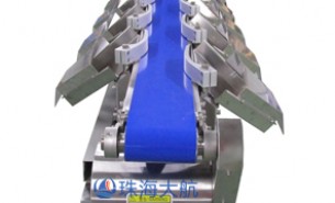 江门重量分选机,10+级别,±1克高精度重量分选机