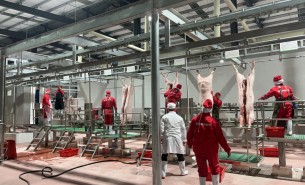 解析自动检重秤组合多头秤在猪肉及小重量产品中的创新应用