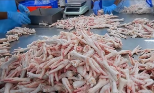 探索珠海大航鸡爪重量分选机在禽肉分割产品重量分选中的创新应用