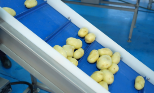 了解土豆自动分选机按重量分级及自动输送至包装工位详情