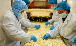 探索大蒜自动配重机精准配重及自动输送包装工位的优势