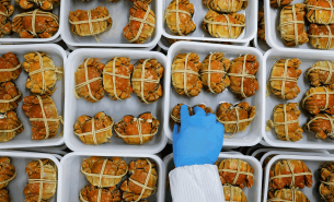 探索青蟹重量分选机如何实现青蟹精准重量分选及产业价值