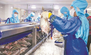 解析水产配重机如何实现水产产品精准配重及产业应用价值