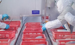 重量分级不准的破题之选 - 珠海大航重量分选机