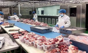 珠海大航 - 肉类目标自动配重机，精准配重解决方案