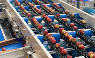 珠海大航 - 重量分选机匹配产线需求与产品保护方案