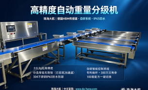 high-precision-weight-grading-machine-manufacturer