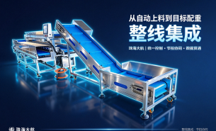 auto-feeding-sorting-batching-line-integrator