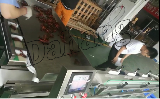 等距上料+小龙虾分选.jpg