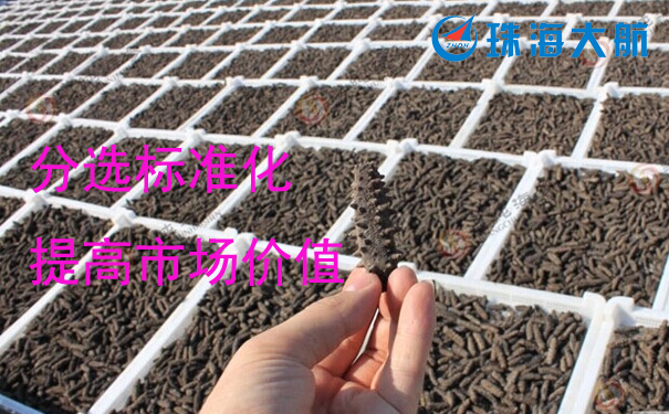 1529566330835426.jpg 海参.jpg