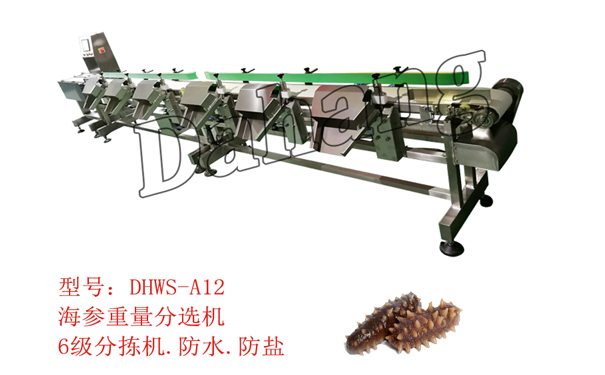 海参分选机.jpg