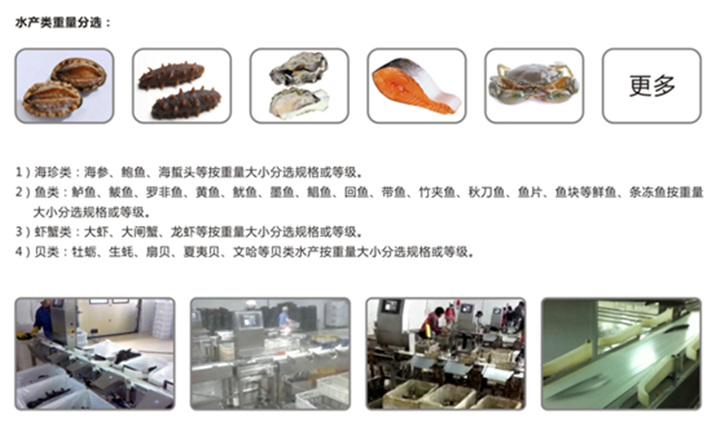 重量分选机水产应用