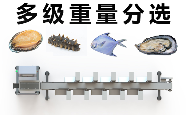 水产药材分拣设备