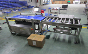 称重剔除仪 称重剔除仪