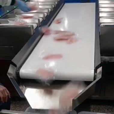 鱼片称重分装 鱼片称重分装