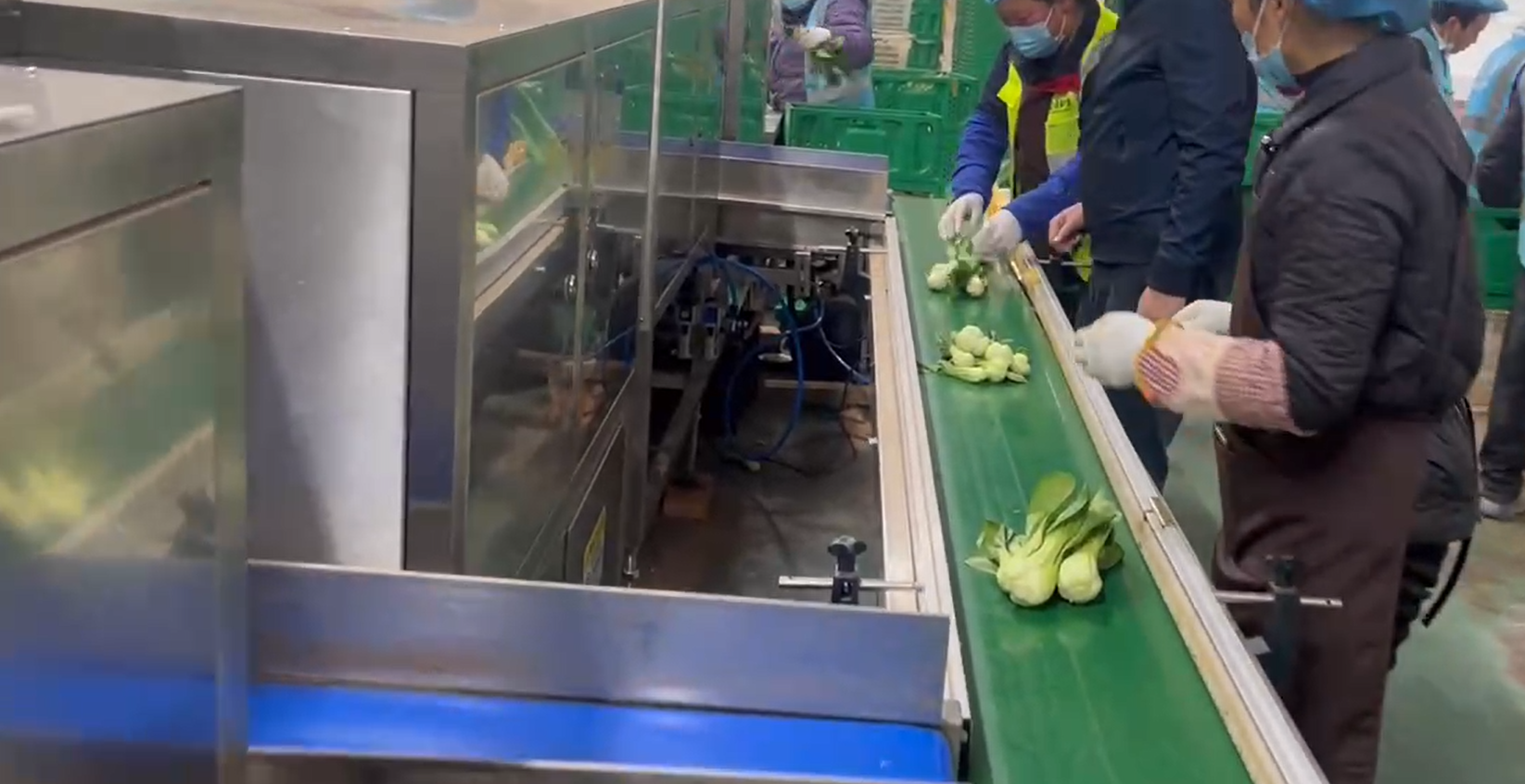 1767660144115716.png 蔬菜配重.png