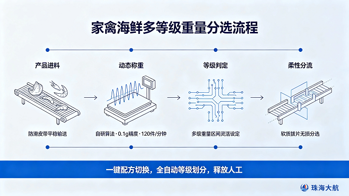 家禽海鲜多等级重量分选流程插图.png